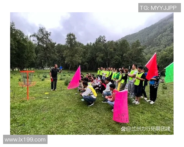 飞盘盛宴：深入深圳飞盘队的拼搏与团结精神探秘之旅