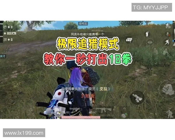 和平精英战术解析FPX战队反击体系的成功秘诀与实战应用